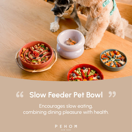 Two dogs standing next to a slow feeder pet bowl on a wooden table with food.