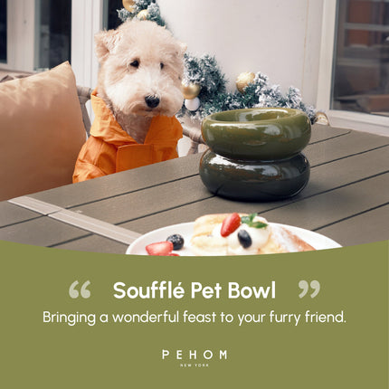 Dog in an orange coat sitting next to a green 'Soufflé Pet Bowl' with food on a table.