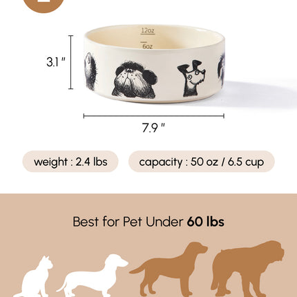 Dog bowl with measurements and specifications on a white background