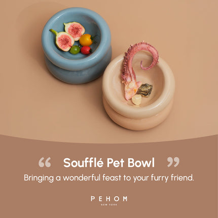 Two ceramic pet bowls with food on a beige background, featuring the brand 'PEHOM'.