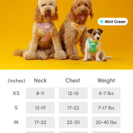 Three dogs of different sizes on a yellow background with color options above and a size chart below.