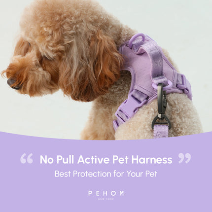 Dog wearing a purple 'No Pull Active Pet Harness' with text and brand name on a light gray background