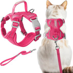 Pink / 2X-Small