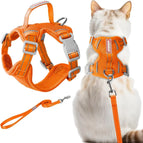 Orange / 2X-Small