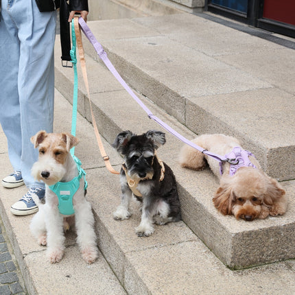 Padded Active Pet Leash – Soft Grip