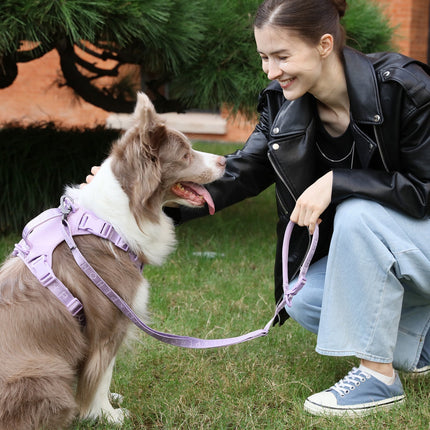 Padded Active Pet Leash – Soft Grip