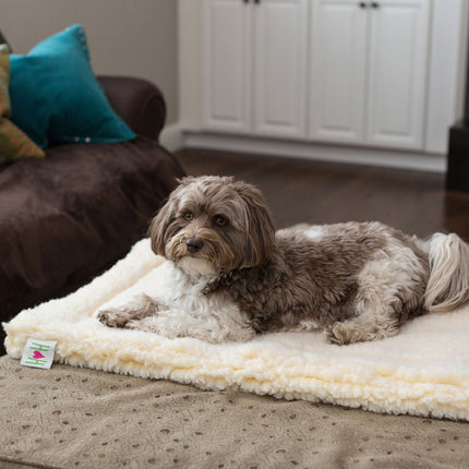 Dog lying on a pet mat in a living room setting