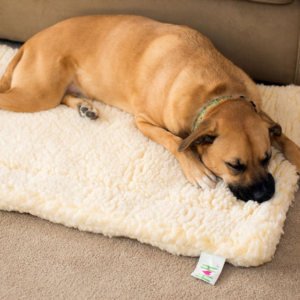 Dog lying on a fluffy white pet mat with a brand tag visible