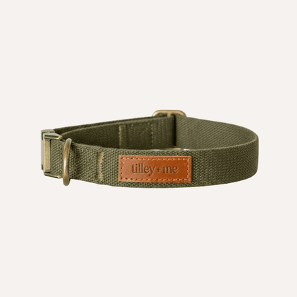 Green dog collar with a brown leather patch on a white background