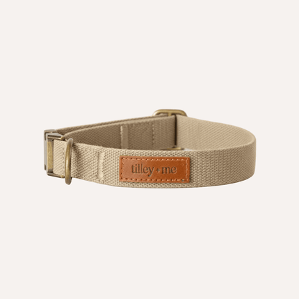 Beige dog collar with a visible brand label on a white background