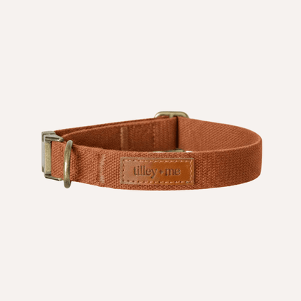 Brown dog collar with a visible brand label on a white background