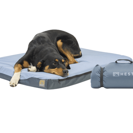 Dog lying on a blue pet bed with a matching carrying case on a white background