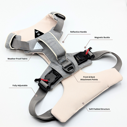 Dog harness with labeled features on a white background