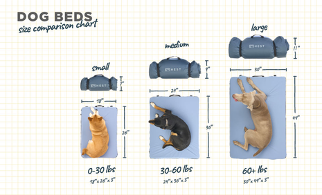 Dog beds size comparison chart with measurements and weight ranges.