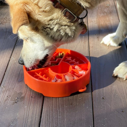 Dog eating from an orange silicone feeding bowl on a wooden deck