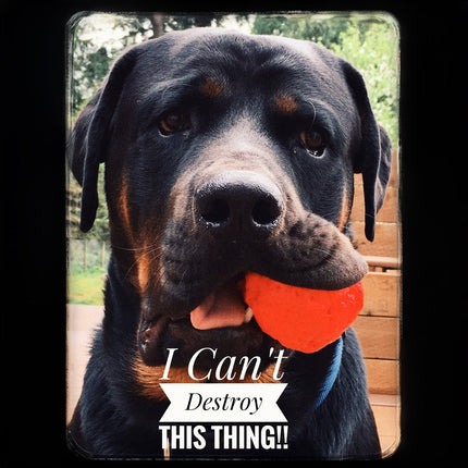 Dog holding an orange ball with text 'I Can't Destroy This Thing!!' in a natural setting.