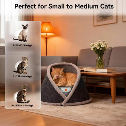 Cat bed with size chart for small to medium cats in a cozy living room.