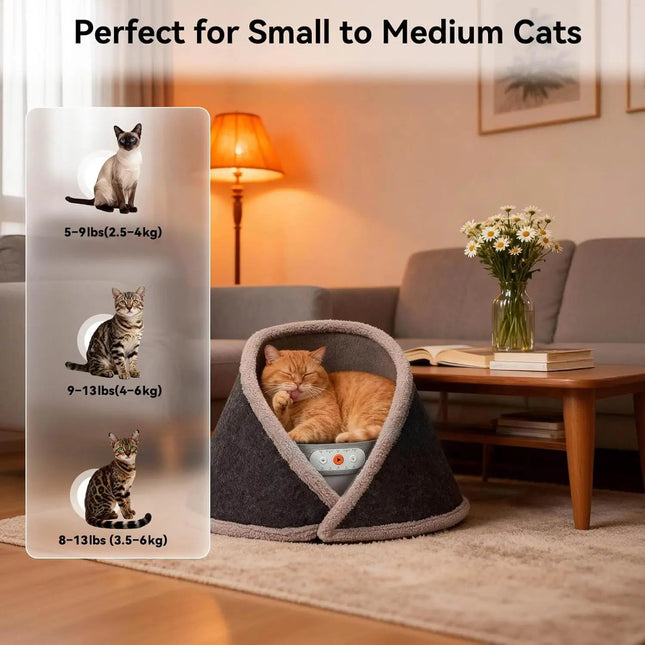 Cat bed with size chart for small to medium cats in a cozy living room.