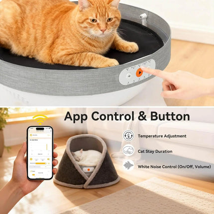 Cat lying on a gray pet bed with app control features displayed.