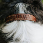 Oxford Brown / XS