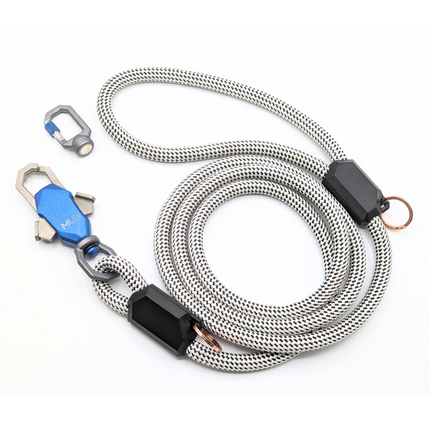 Metallic dog leash with clips on a white background