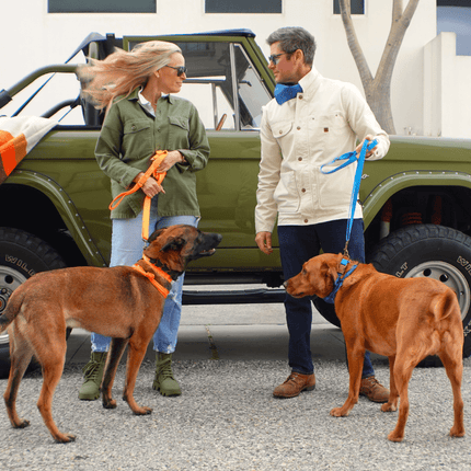 Two people with two dogs in front of a green vehicle