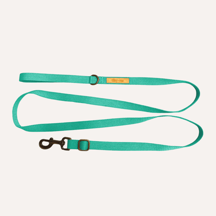 Green dog leash with brass hardware on a light gray background