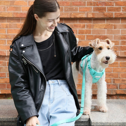 Padded Active Pet Leash – Soft Grip