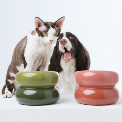 Two dogs with two colorful ceramic bowls on a white background