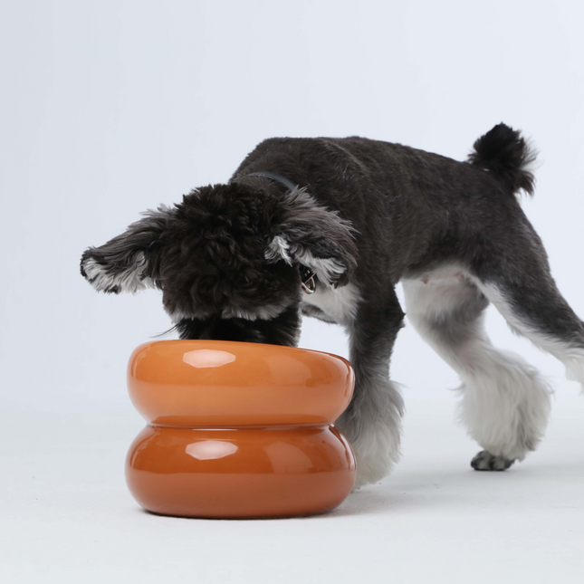 Dog interacting with an orange ceramic bowl on a white background
