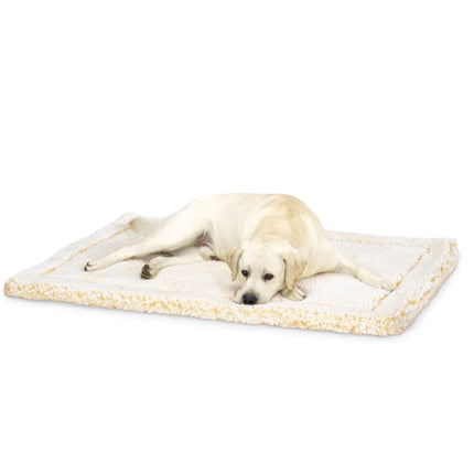 Dog lying on a rectangular pet mat with a white background