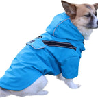 Blue / Medium