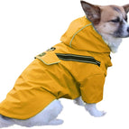 Yellow / Large