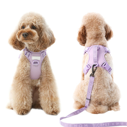 Two views of a dog wearing a purple harness on a white background