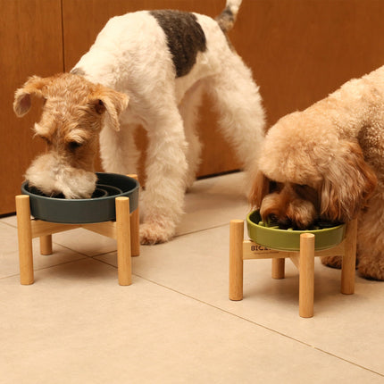 Two dogs eating from elevated dog bowls on a tiled floor.