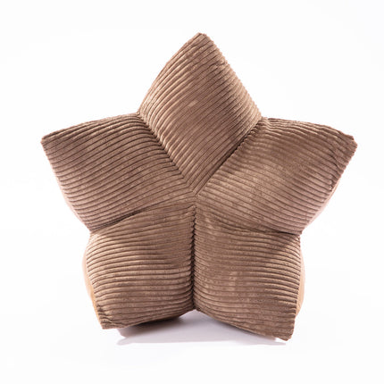 Brown textured star-shaped object on a white background