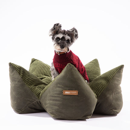 Dog sitting on a green pet bed with a red sweater against a white background