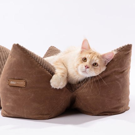 Cat peeking out from a brown pet bed with a visible brand logo on a white background