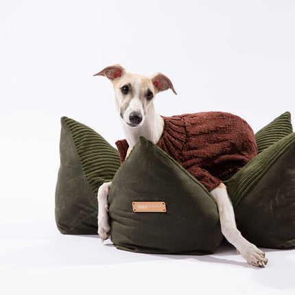 Dog lying on a green pet bed against a white background