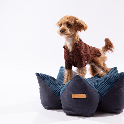 Dog wearing a brown sweater standing on a blue pet bed with a white background
