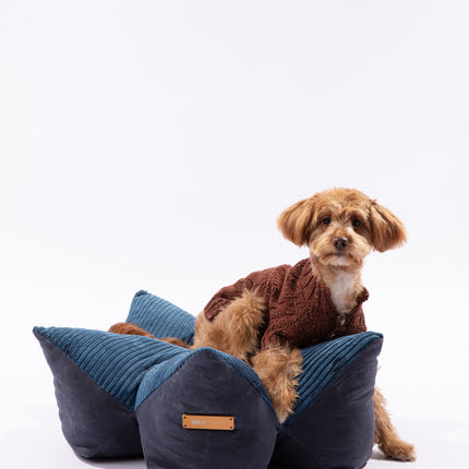 Dog sitting on a blue pet bed against a white background
