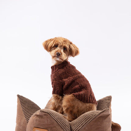 Dog wearing a brown sweater sitting on a brown pet bed against a white background