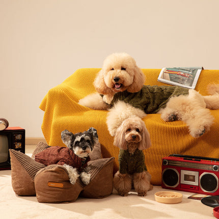Three dogs on a yellow couch with vintage-style decor