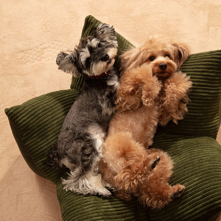Two small dogs, one gray and one brown, lying on a green pet bed against a beige background.