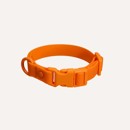 Orange dog collar on a white background