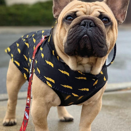 Pawgwarts Poncho – Rainwear with Leash Slit & Back Pocket
