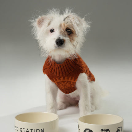 Small dog wearing an orange sweater with two bowls in front on a gray background