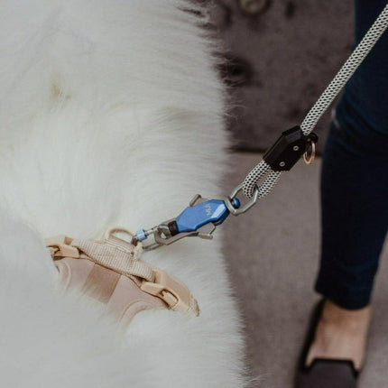 Dog leash with blue clip on a white fur surface