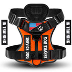 Orange / X-Small