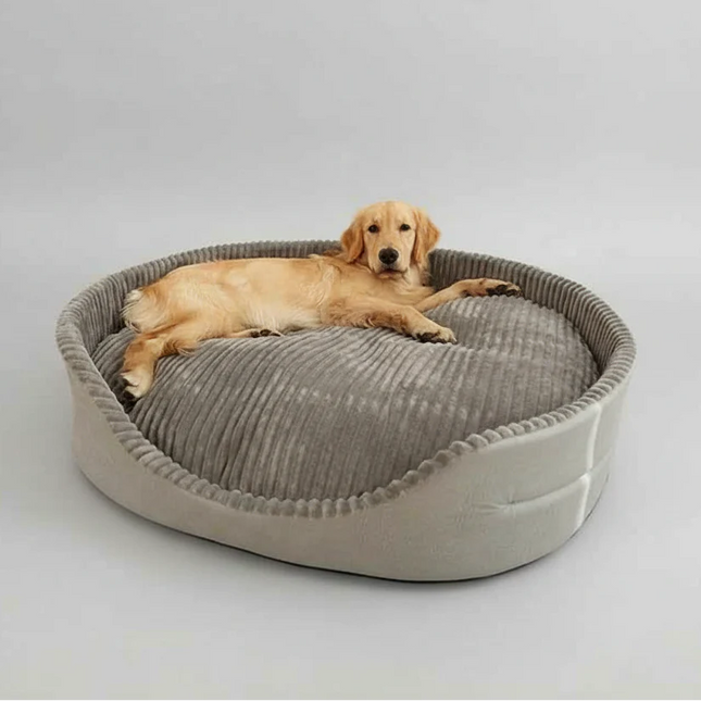 Dog lying on a gray pet bed against a white background